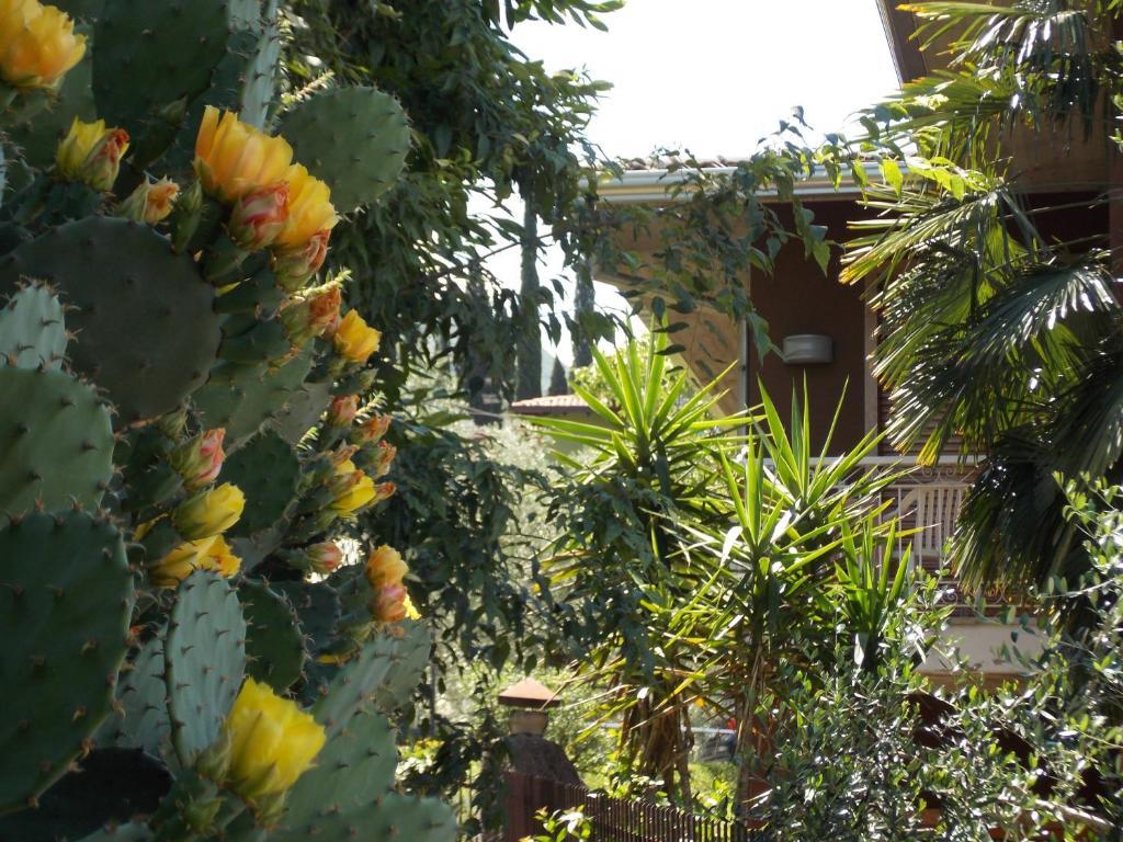 B&B Casa Sartori مالتشيزينيه المظهر الخارجي الصورة